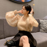와이엠피피