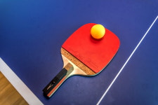 제주 고흐와 바흐 독채펜션