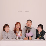 볼브스튜디오