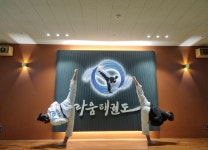 라움 태권도