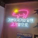 배봉도야지