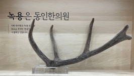 동인한의원