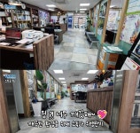 인트로만화학원