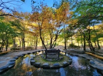 문경 그랜드 리조트