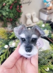 솜달이공방