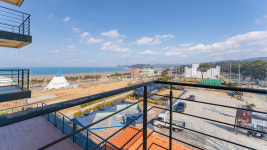 말리오션스파펜션