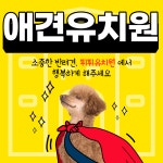 뛰뛰 강아지 유치원