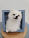 솜달이공방