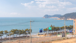 말리오션스파펜션