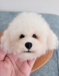 솜달이공방