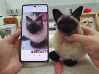 솜달이공방