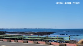 제주에서돌고래를만난다면펜션