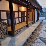 달이 뜨면 꽃이 피고