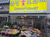 춘천꽃집 춘천꽃도소매 조은생화