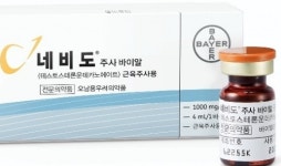 둔산라파엘의원