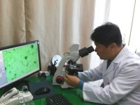 힐링과학연구센터 편백효소찜질 본점