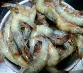 치킨드새우