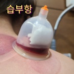 원흥경희한의원