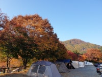 브라보캠핑장