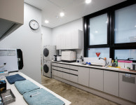 서울샤치과의원