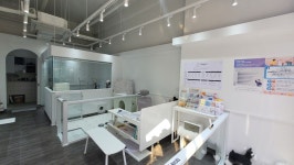 포메른 펫살롱