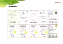 휴스템에프에스디