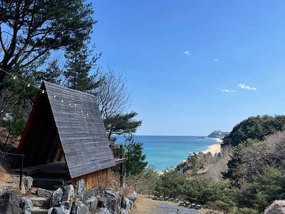 스테이인터뷰 카페 사진