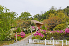 모석원