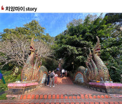 위드투어