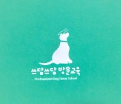 쓰담쓰담 애견훈련
