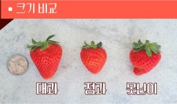 태린물산