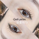 눈꽃피다