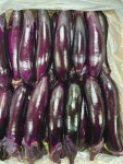 항도청과 중도매인45번