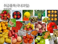 제이제이글로벌
