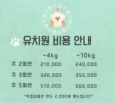 위드멍 애견유치원