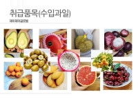 제이제이글로벌