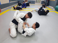 비천관주짓수합기도