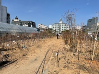 조은나무농장