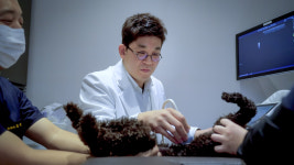 SNC동물메디컬센터