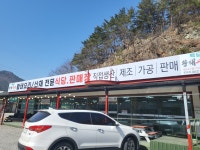 백담황태사랑 판매장