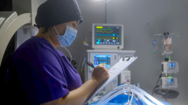 SNC동물메디컬센터