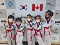 용인대월드태권도