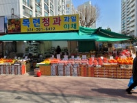 목련청과 과일야채
