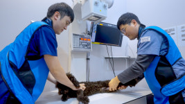 SNC동물메디컬센터