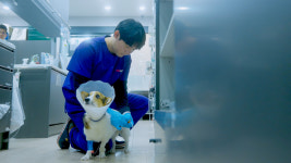 SNC동물메디컬센터