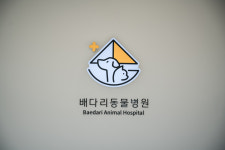 배다리동물병원