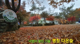 평창 다온숲펜션
