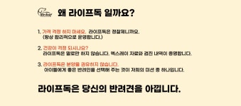 라이프독 인천본점 24시 강아지분양 고양이분양