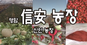 신안농장