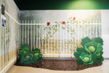 한국영화박물관